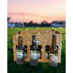 Coffret de bières 33cl